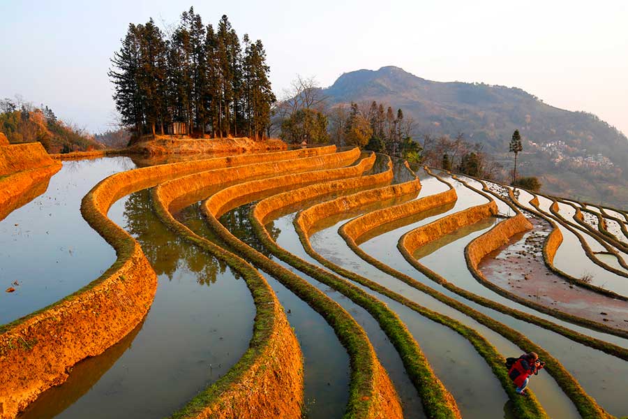 A scenic view of honghe hani terraced fields