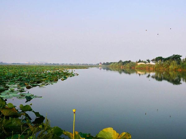A scenic view of hongze lake