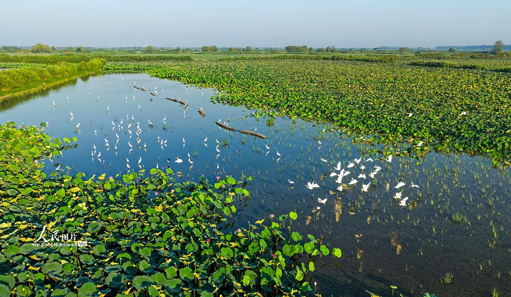 A scenic view of hongze lake