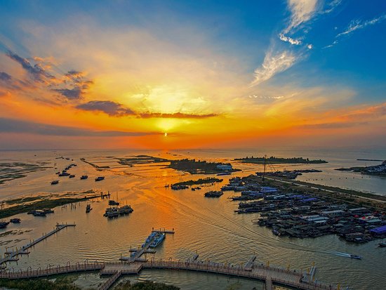 Experience Serenity: Why Hongze Lake Dike Should Be Your Next Eco-Destination