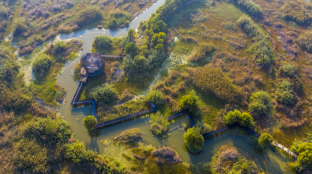 Experience Nature’s Bounty: The Benefits of Visiting Hongze Lake Wetland Park