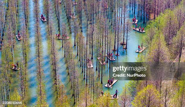 A scenic view of hongze lake wetland park