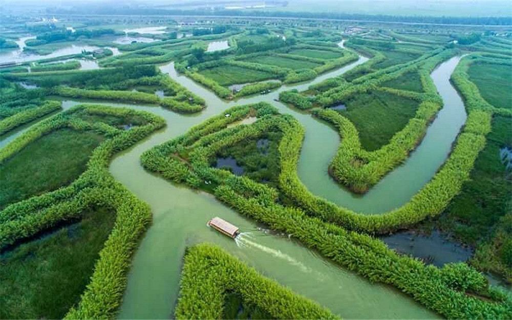 A scenic view of hongze lake wetland park