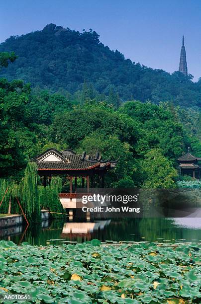 A scenic view of hongze lake wetland park