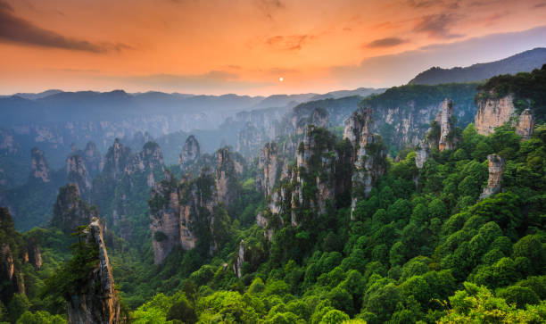 Your Ultimate Guide to Visiting Huangcangyu National Forest Park: Nature at Its Best