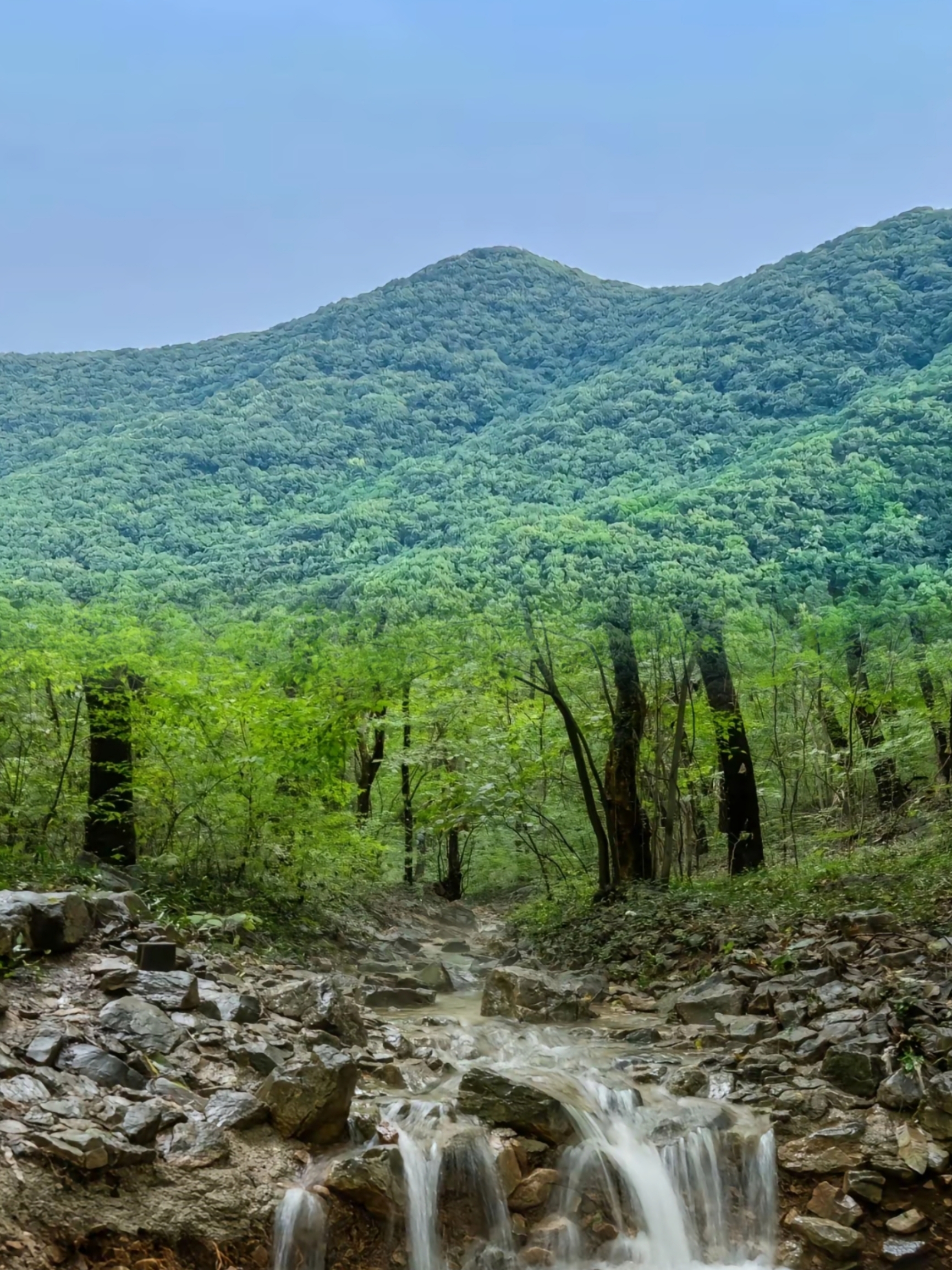 A scenic view of huangcangyu national forest park