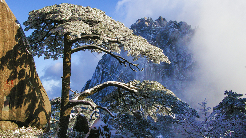 A scenic view of huangshan scenic area