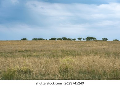 A scenic view of hulunbuir_grassland