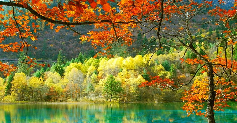 A scenic view of huzhu_tu_ethnic_garden