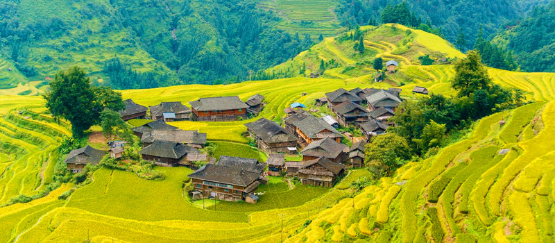 Exploring the Breathtaking Beauty of Jiabang Terraced Fields: A Hidden Gem in China