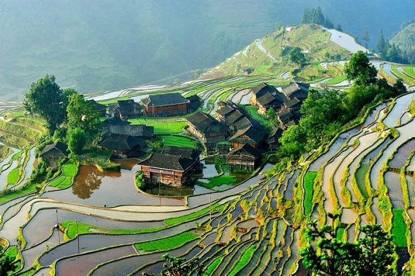 A scenic view of jiabang terraced fields