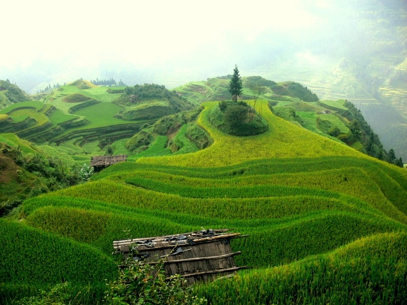 A scenic view of jiabang terraced fields