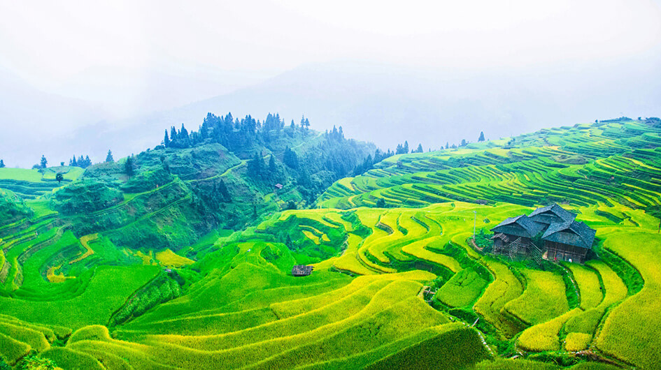A scenic view of jiabang terraced fields