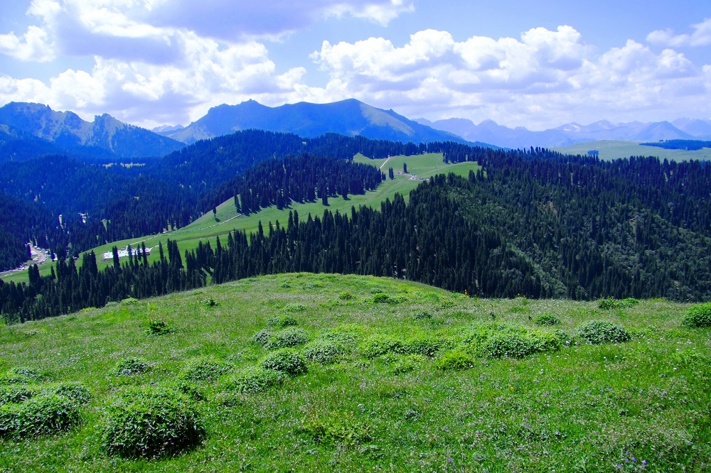 A scenic view of jiangbulake scenic area
