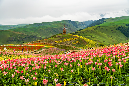 Top 10 Reasons to Explore Jiangbulake Scenic Area This Year