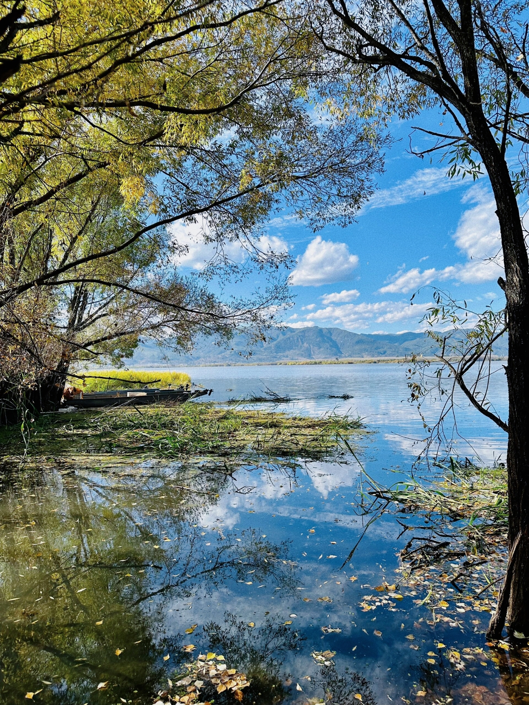 A scenic view of jianhu lake