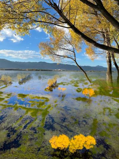 Top 10 Activities to Experience at Jianhu Lake