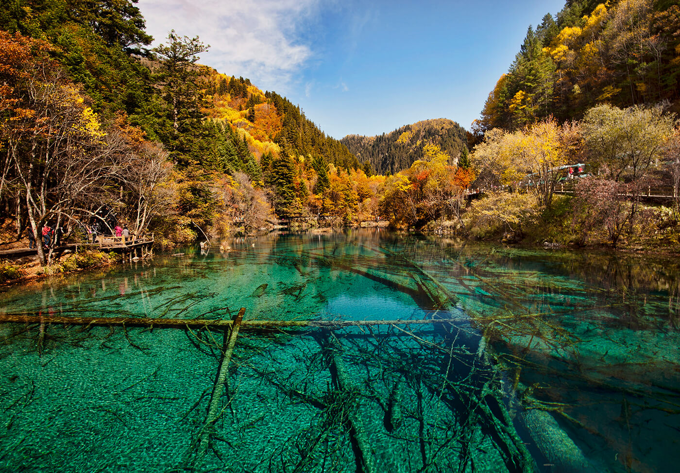 A scenic view of jiaogang lake