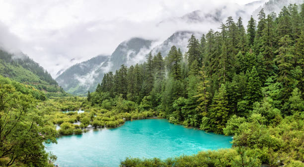 A scenic view of jiaogang lake