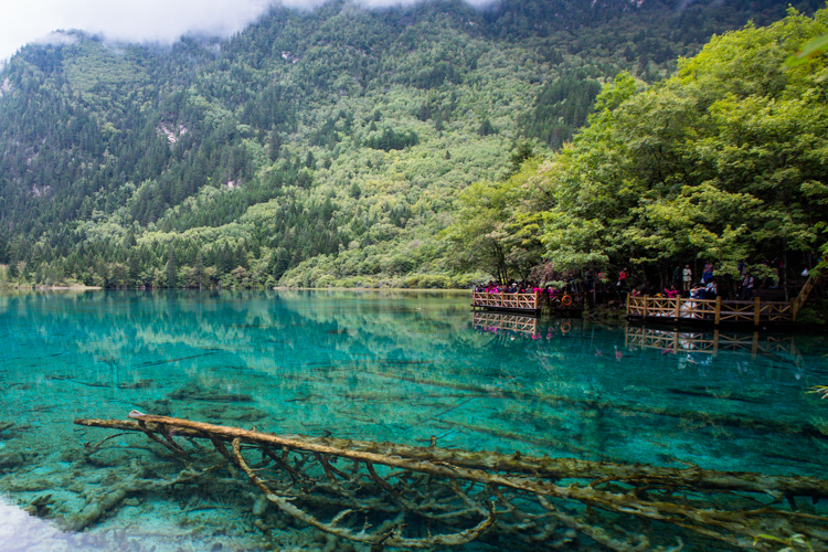 A scenic view of jiaogang lake