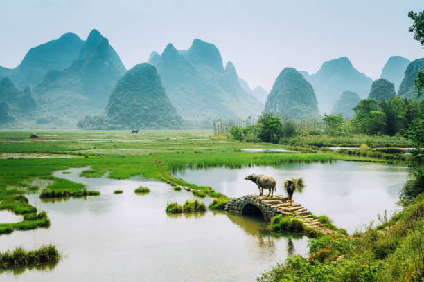 A scenic view of jilin_confucius_temple