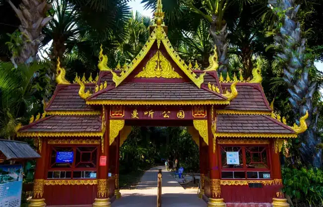 A scenic view of jinghong manting park