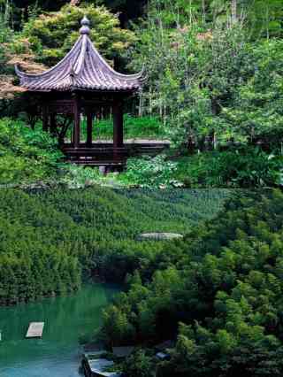 A scenic view of jinghu park