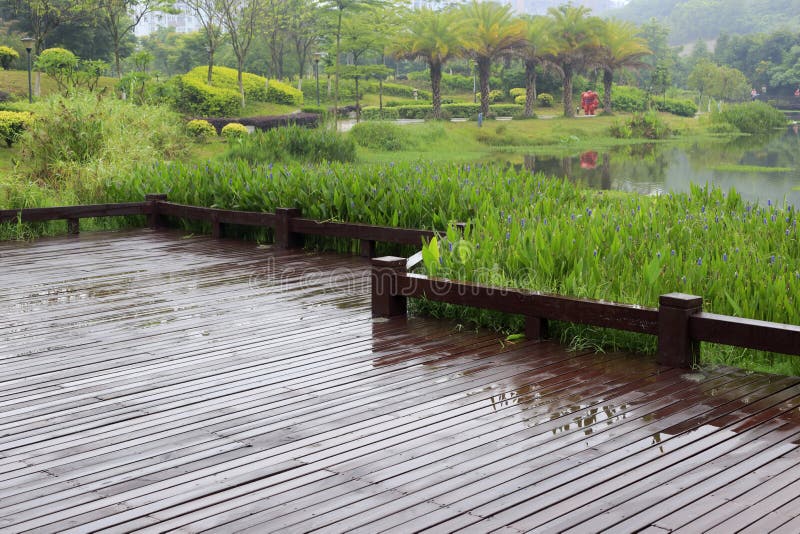 Discover the Tranquil Beauty of Jinghu Park: A Must-Visit Destination in China