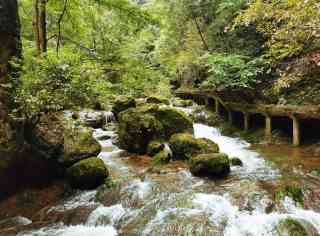 A scenic view of jinsi_gorge_scenic_area