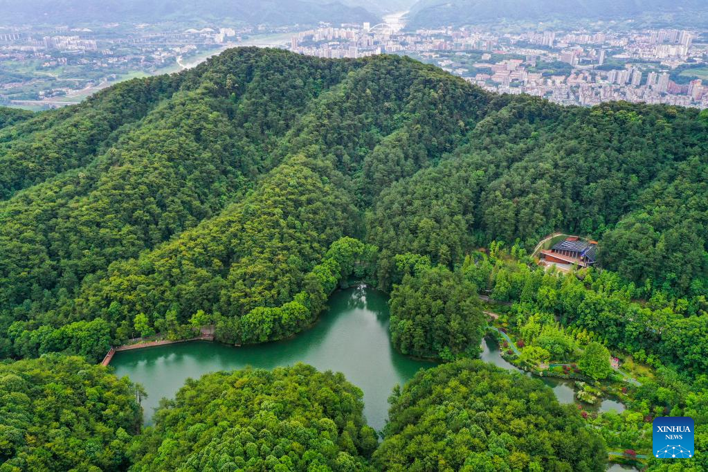 Explore the Majestic Landscapes of Jinyun Mountain: A Traveler’s Guide