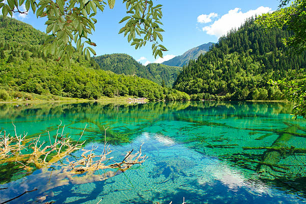 A scenic view of jiuzhaigou valley