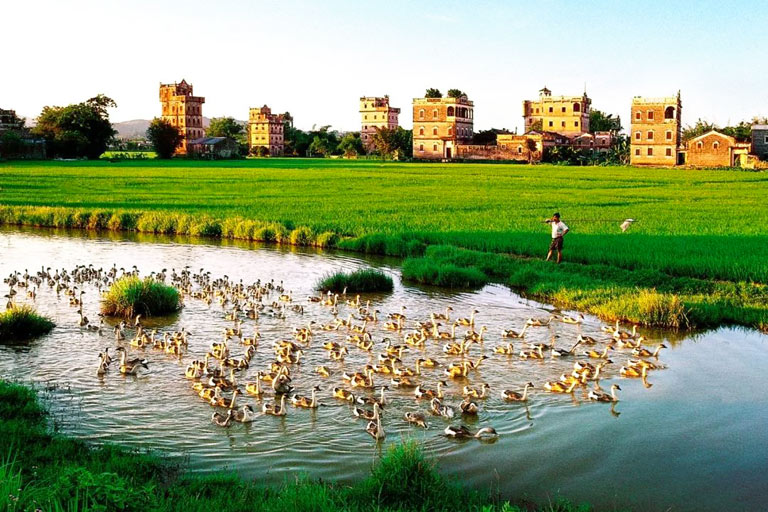 A scenic view of kaiping diaolou and villages