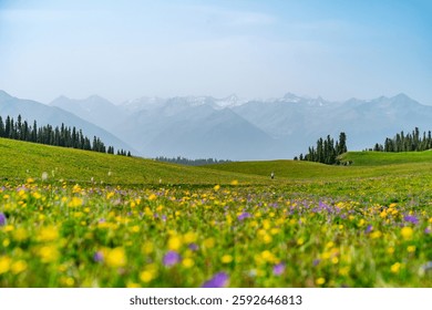 A scenic view of kalajun grassland