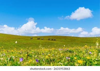 A scenic view of kalajun grassland