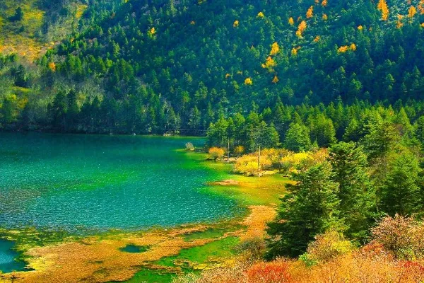 Kangding Love Song Scenic Area: Nature, Culture, and Unforgettable Memories