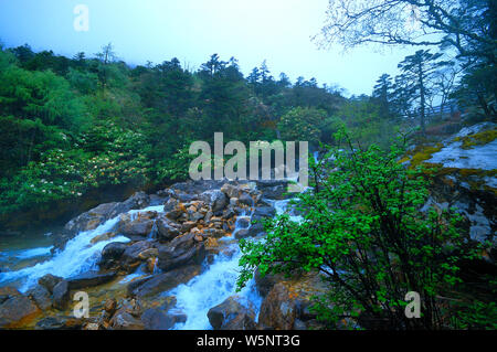 A scenic view of kangding love song scenic area
