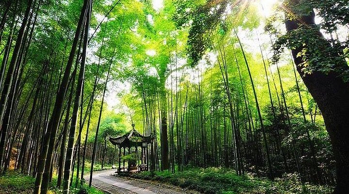 A scenic view of keyan scenic area