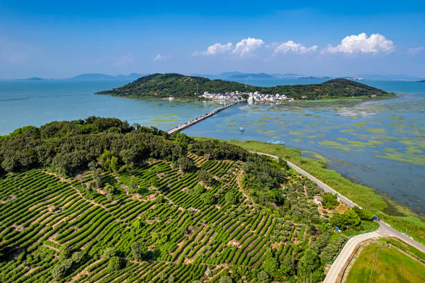 A scenic view of lake tai