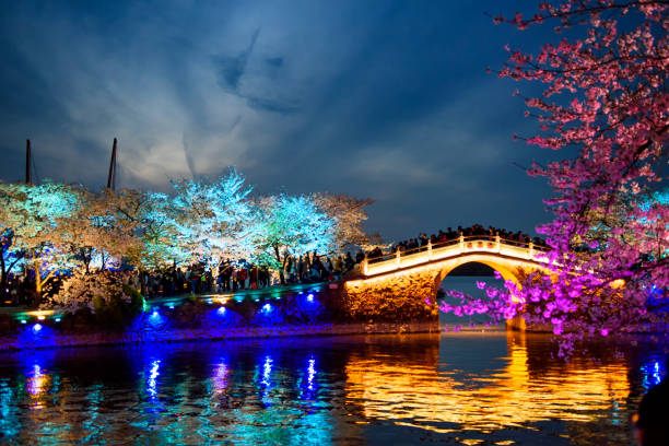 A scenic view of lake tai
