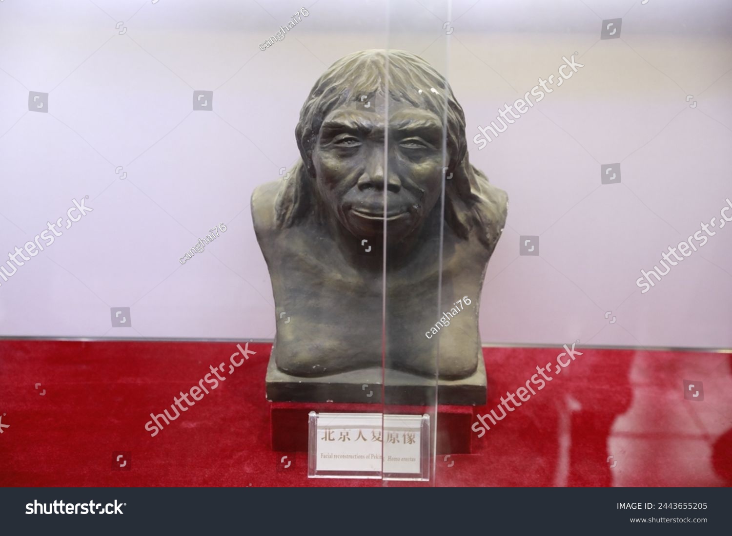 A scenic view of lantian_ape_man_ruins