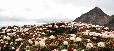 A scenic view of Laojun Mountain