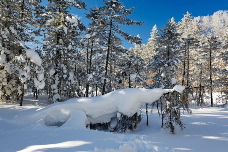 Laolike Lake: The Perfect Spot for Adventure and Relaxation