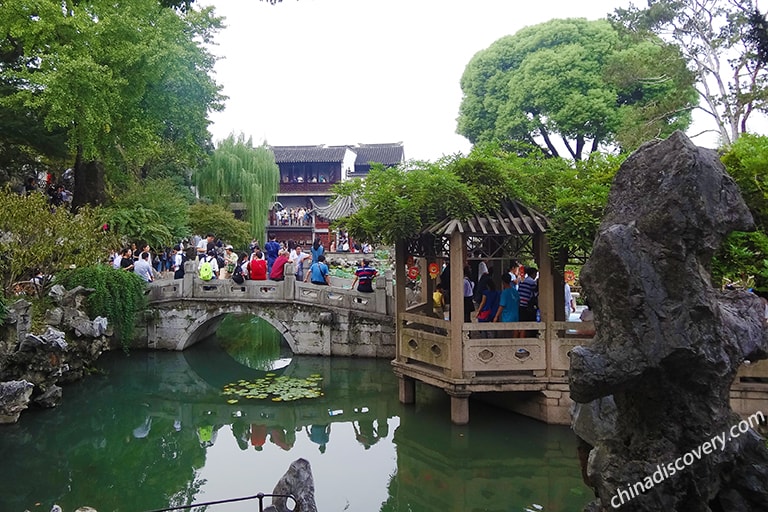 A scenic view of lion grove garden