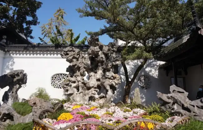 A scenic view of lion grove garden