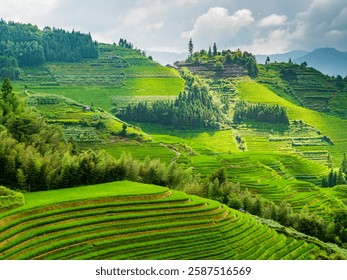 A scenic view of longji terraced fields