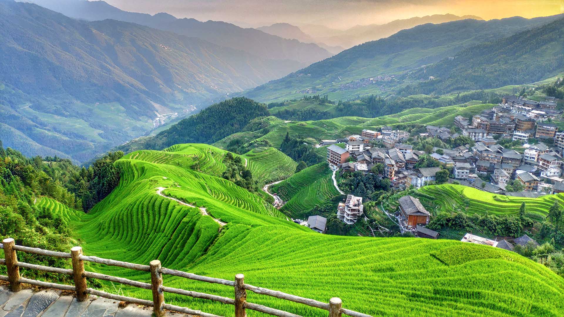 A scenic view of longji terraced fields