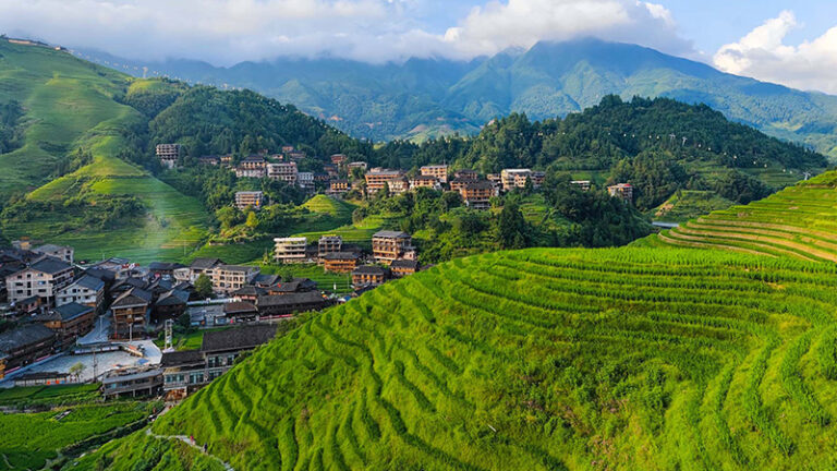 Experience the Cultural Richness of Longji Terraced Fields in Guangxi, China