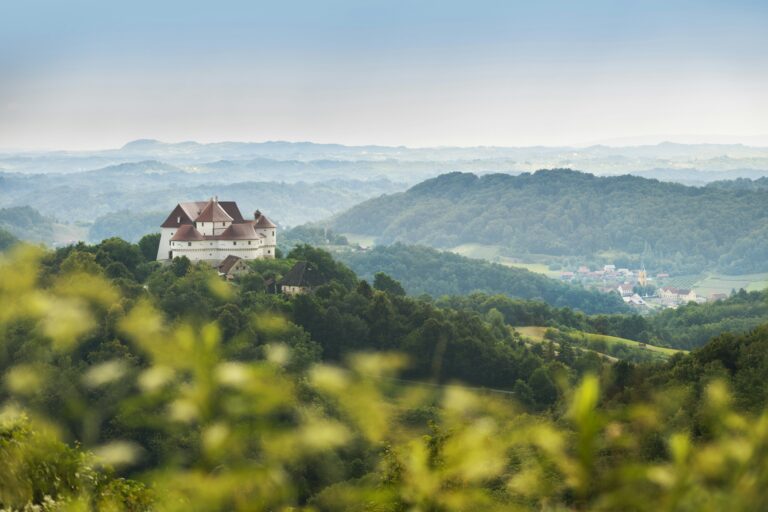 Culinary Delights and Local Markets: Savoring Longtan Mountain City