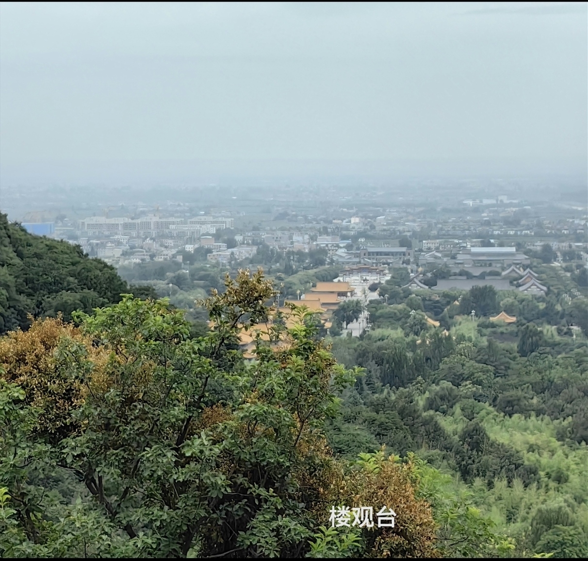 A scenic view of louguantai_forest_park