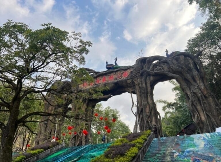 Unveiling the Secrets of Mangshi Peacock Valley: Your Ultimate Travel Guide